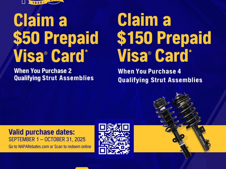 NAPA Shocks and Struts
