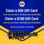 NAPA Strut Assemblies