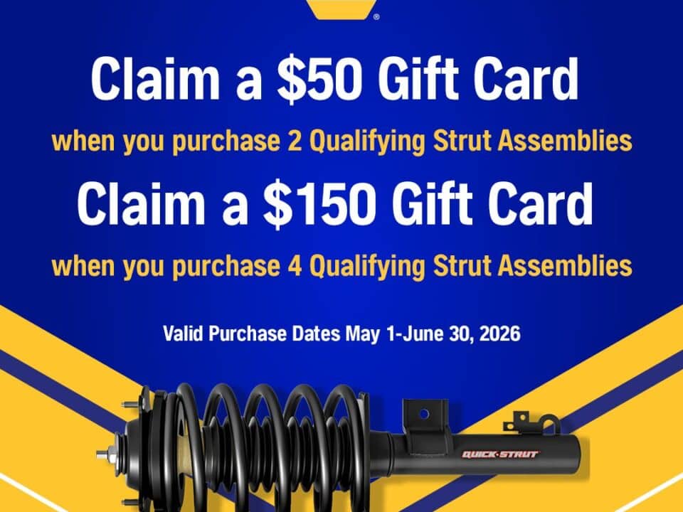 NAPA Strut Assemblies